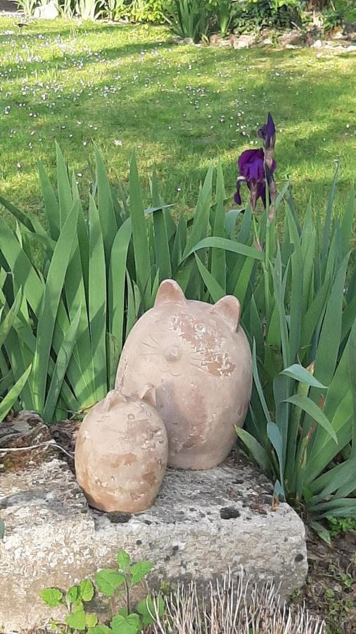 Le Jardin De Myrtille Panzió Saint-Géraud-de-Corps Kültér fotó